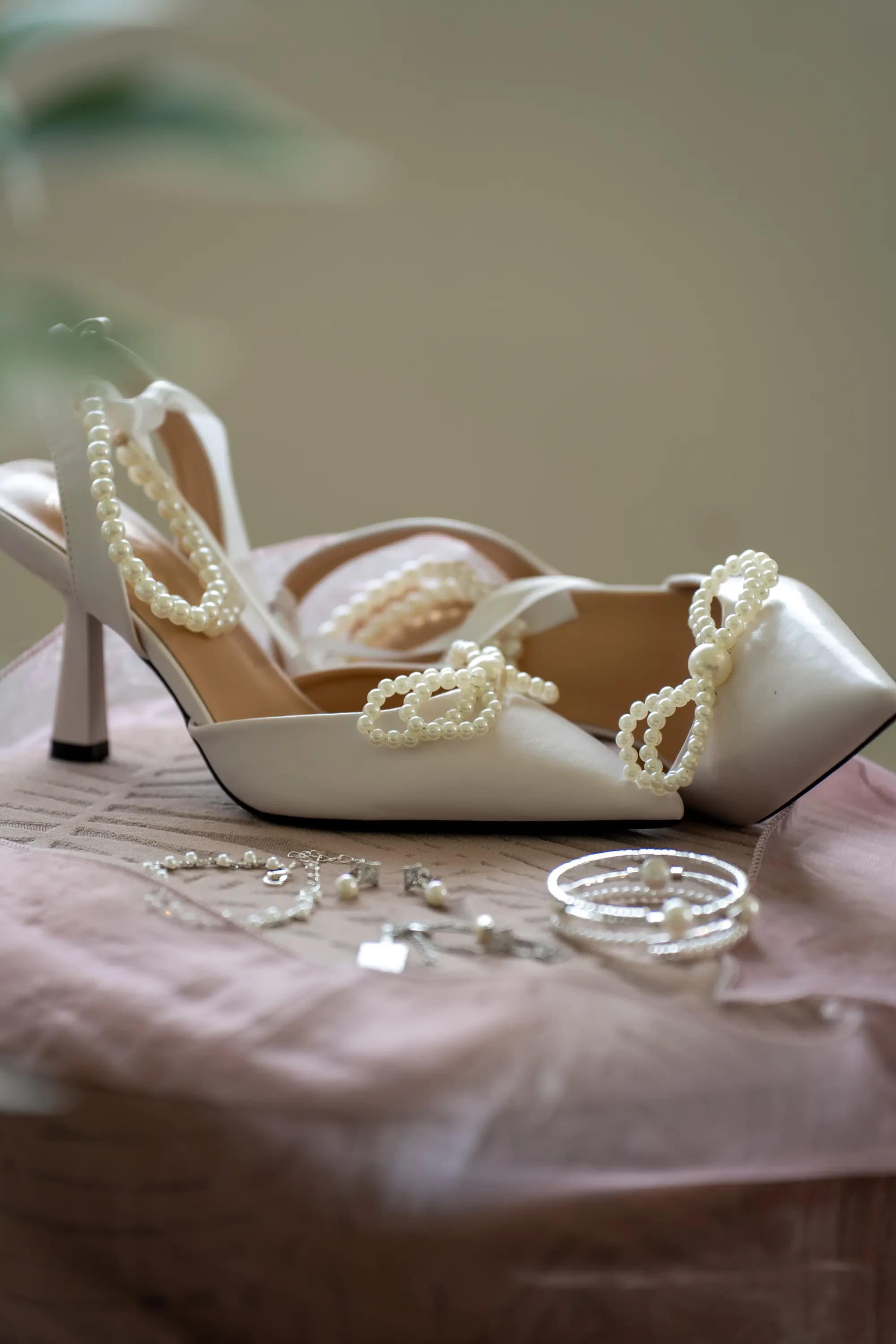 Rohini & Micheal wedding photograph